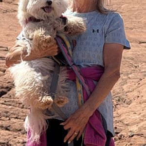 Jan Marsh