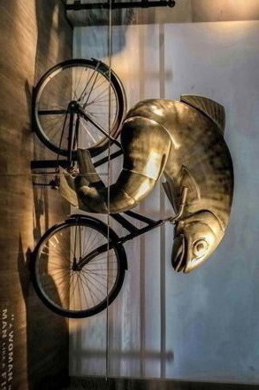 Katherine O'Driscoll