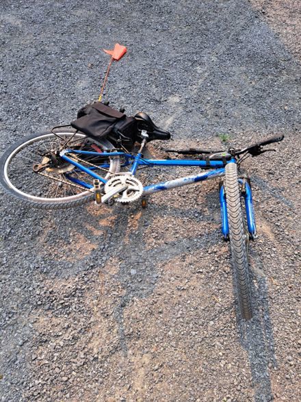 Diane M Anderson Campbell