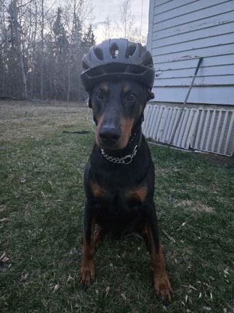 Vicente Sanchez Zanatta