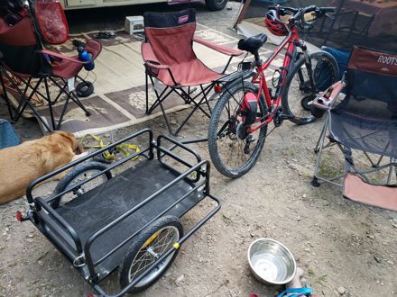 Chris Vigneault Chris Vigneault