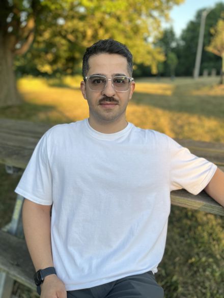 Ali Ardestani