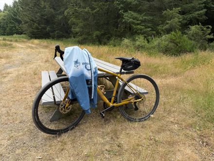 Dominique Charlebois