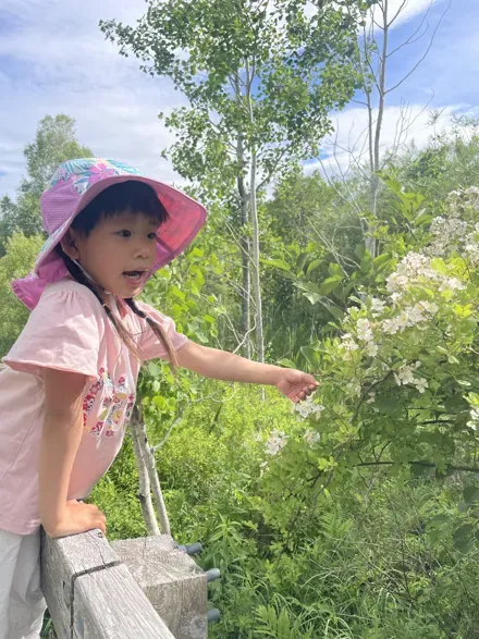 Hannah huang