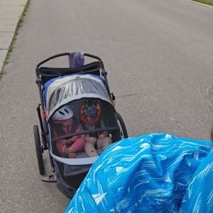 Gary Peters