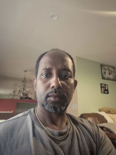 Abed bokure