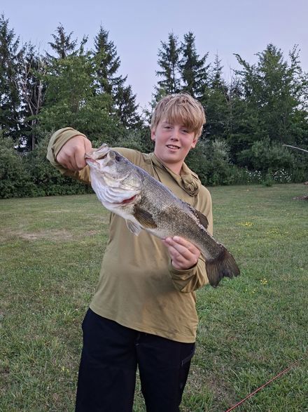 Wyatt Bechard