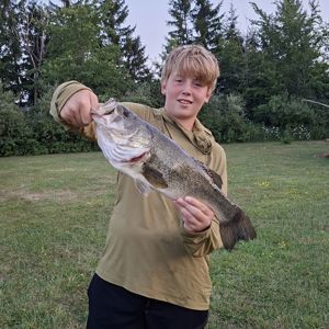 Wyatt Bechard