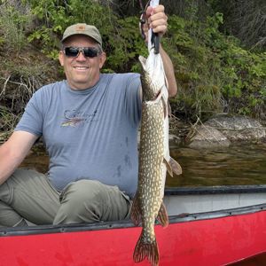 Gregg Hansen