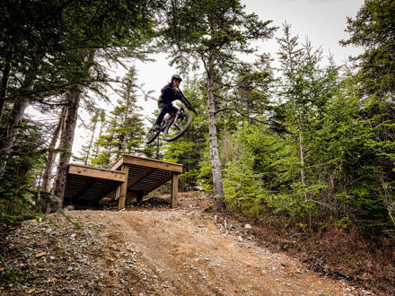 Chris Francis