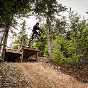 Chris Francis