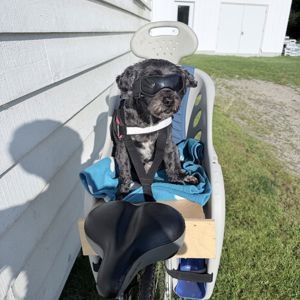 Lucille Doucette