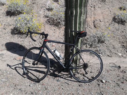 Tawd Nordstrom-Young