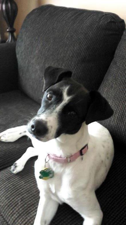 Owen Knowles