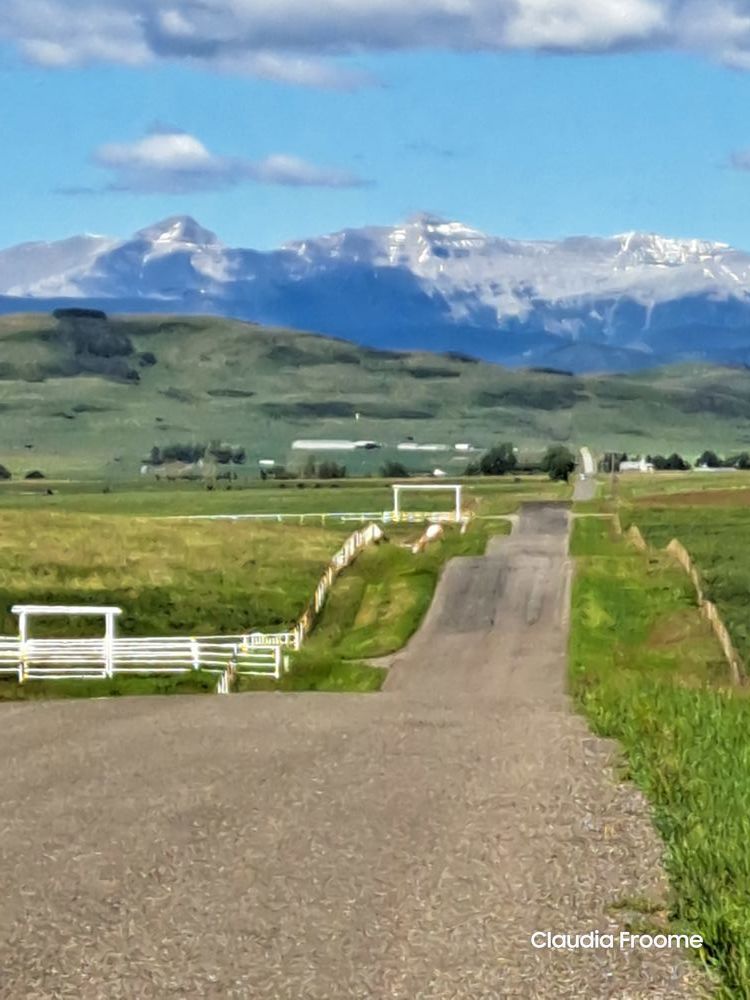 Coal Trail Ride