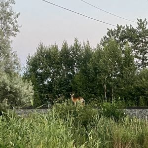 Update2031318