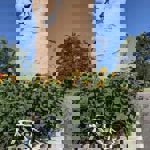Ride image