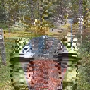 Ride image
