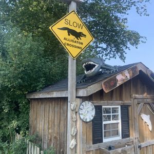 Ride image