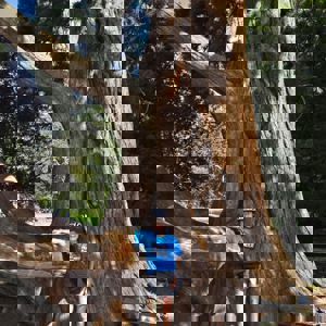 Ride image