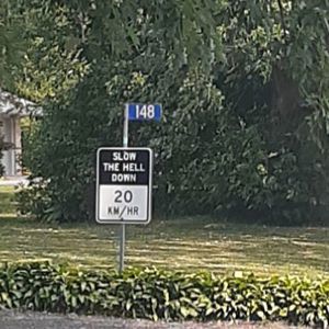 Ride image