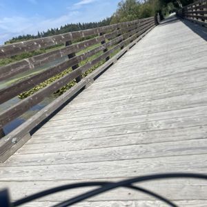 Ride image