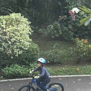Ride image