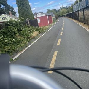 Ride image