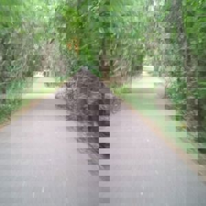 Ride image