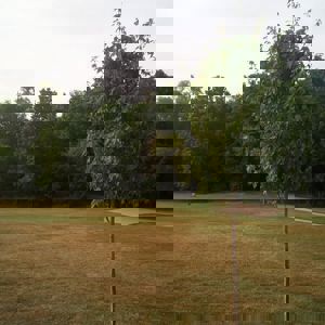 Ride image