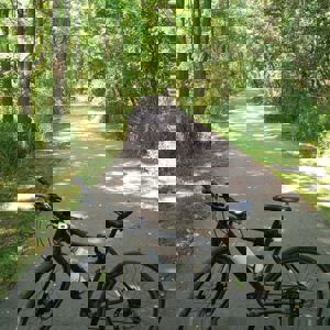 Ride image