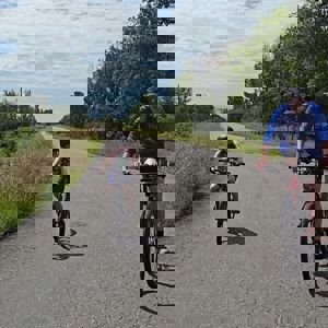Update2519691