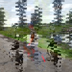 Ride image
