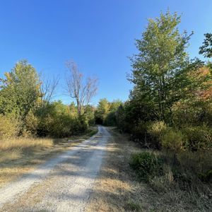 Ride image