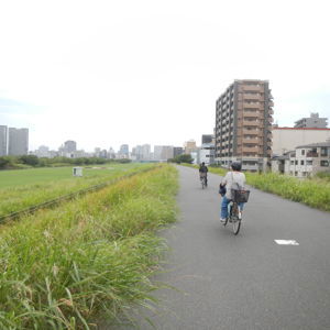 Ride image