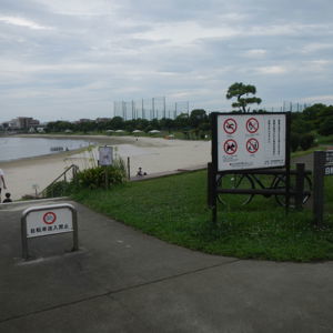 Ride image