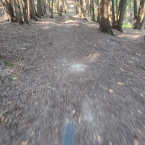 Ride image
