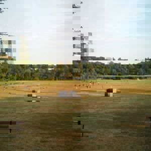 Ride image