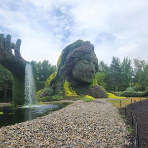Ride image