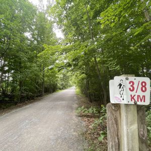 Ride image
