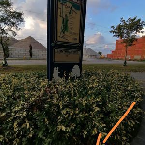 Ride image