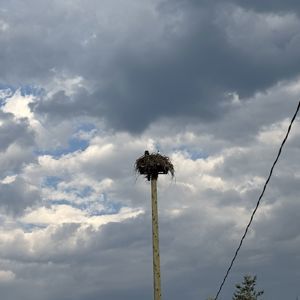 Ride image