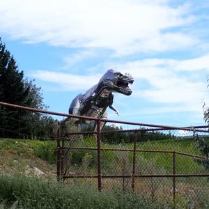 Ride image