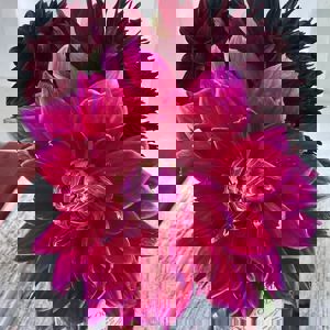 Ride image