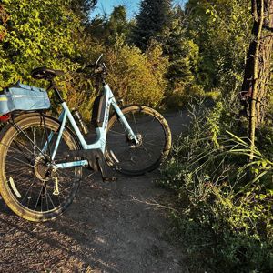 Ride image