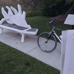 Ride image