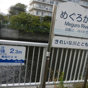 Ride image