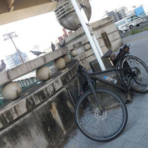 Ride image