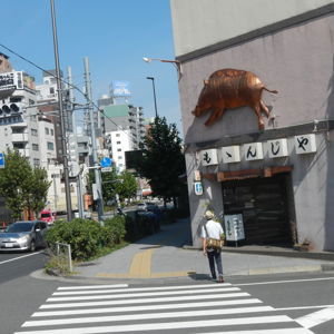 Ride image