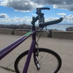Ride image